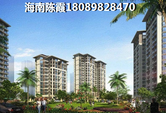 五指山購房政策