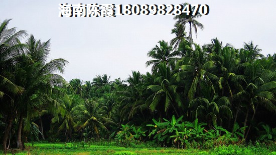國信龍沐灣VS東站國際商業(yè)廣場分析對比
