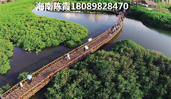 新香緹假日海景房紙得買嗎？