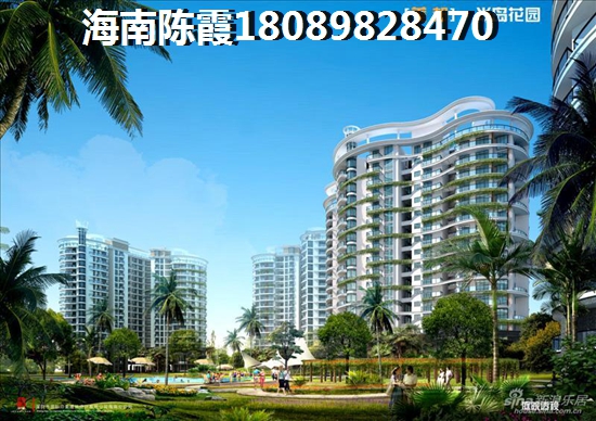 海南金龍大觀性價比高嗎？