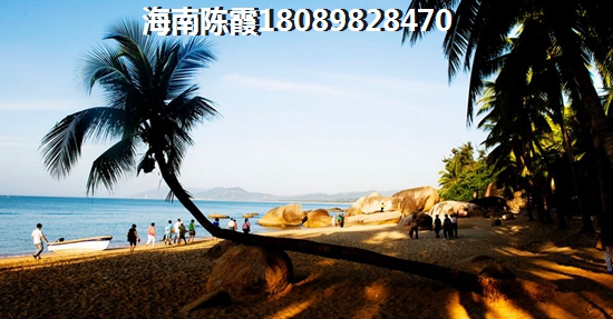 海南定安氣候潮濕是真的嗎？