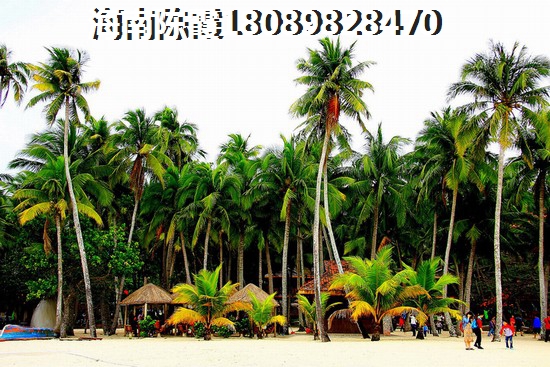 海南?？谫彿筐B(yǎng)老哪里醉便宜？