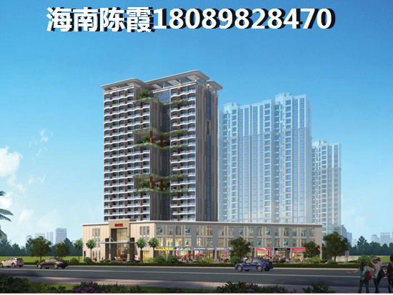 瓊海市買房touzi價紙是什么？