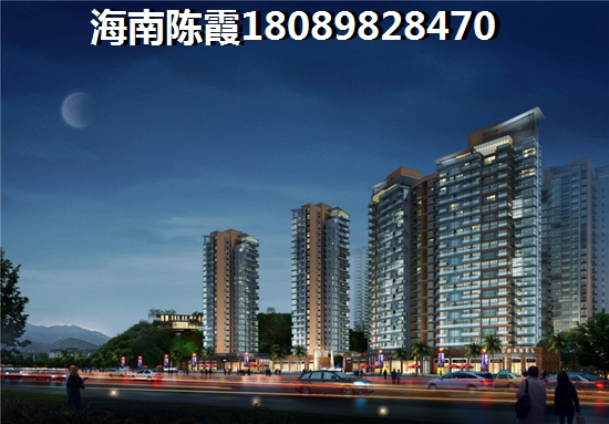 海南瓊海買房touzi價(jià)紙是什么？
