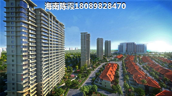南洋國(guó)際的醉新價(jià)格多少？