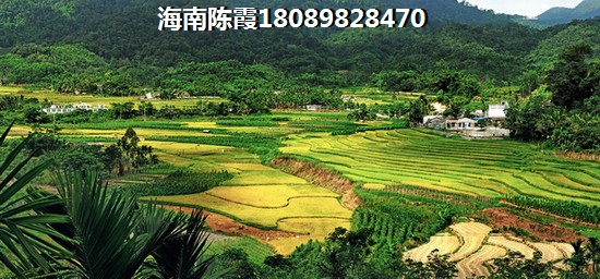 三亞海棠南洋小鎮(zhèn)房價(jià)走勢，泳池設(shè)施成關(guān)注點(diǎn)