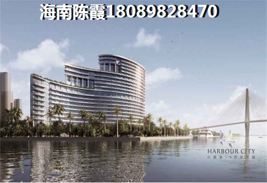 業(yè)主為什么看好陵水縣未來(lái)前景？